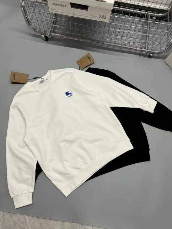 Picture of Burberry Sweatshirt _SKUBurberryS-XLxetr25331073